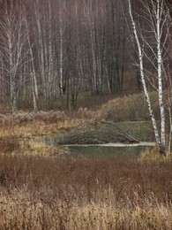 �����������, 2 ������ 2013