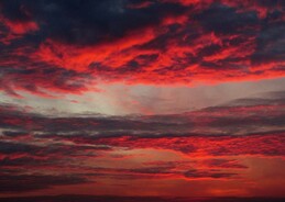 �����������, 2 ������ 2013