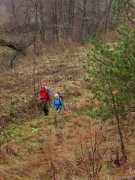 �����������, 3 ������ 2013