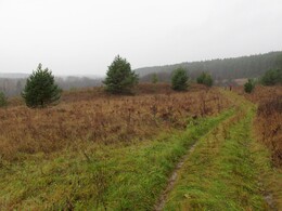 �����������, 3 ������ 2013