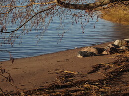 �����, ���������, 18 ������ 2013