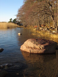 �����, ���������, 17 ������ 2013