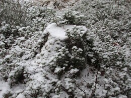 ���������, 7 ������� 2013