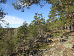 ���������, 8 ����� 2014