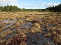 ���������, 8 ����� 2014