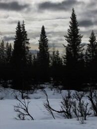 �������� ���������, 29 ����� 2014