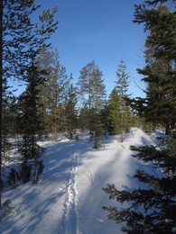 �������� ���������, 30 ����� 2014