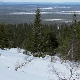 �������� ���������, 30 ����� 2014