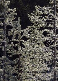 �������� ���������, 31 ����� 2014