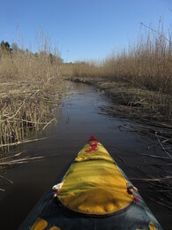 ���������, 17 ��� 2014