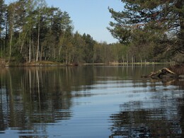 ���������, 18 ��� 2014