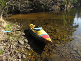 ���������, 18 ��� 2014