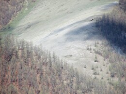 ��������, 3 ���� 2014