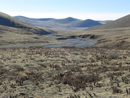 ��������, 4 ���� 2014