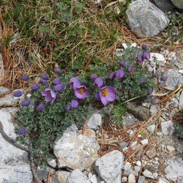 �������������, ��������, 6 ���� 2014