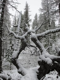 ��������, 7 ���� 2014