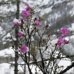 ��������, 7 ���� 2014