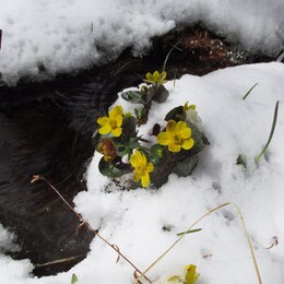 ��������, 7 ���� 2014