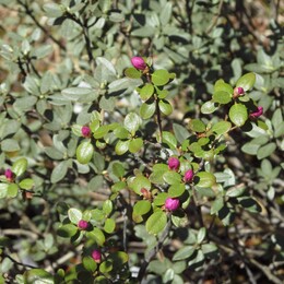 ��������, 7 ���� 2014