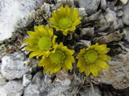 ��������, 9 ���� 2014