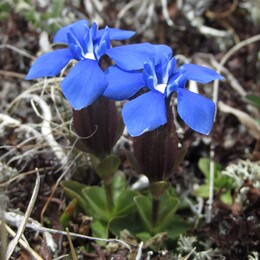 ��������, 9 ���� 2014