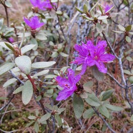 ��������, 10 ���� 2014