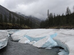 ��������, 11 ���� 2014