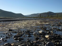 ���� ������-���, ��������, 12 ���� 2014