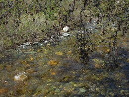 ��������, 12 ���� 2014