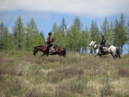 ��������, 12 ���� 2014