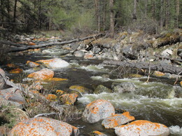 ��������, 12 ���� 2014