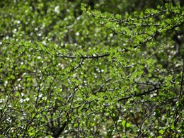 ��������, 12 ���� 2014