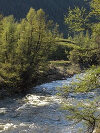 ��������, 12 ���� 2014