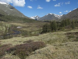 ��������, 13 ���� 2014