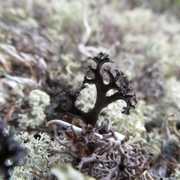 ��������, 13 ���� 2014