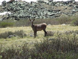 ��������, 13 ���� 2014