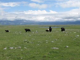 �������� � ����� ��������, ��������, 15 ���� 2014