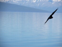 ����� ��������, ��������, 16 ���� 2014