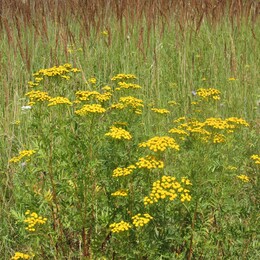 �����������, 26 ���� 2014