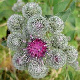 �����������, 26 ���� 2014