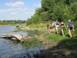 ���� ���, �����������, 26 ���� 2014