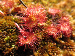 ���������, 9 ������� 2014