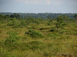 ���������, 9 ������� 2014