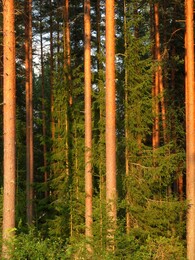 ���������, 9 ������� 2014