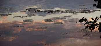 ���������, 9 ������� 2014