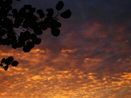 ���������, 10 ������� 2014