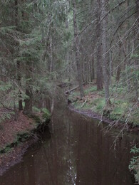 ���������, 10 ������� 2014