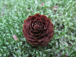 ���������, 10 ������� 2014