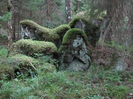 ���������, 10 ������� 2014