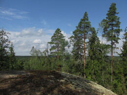 ���������, 10 ������� 2014